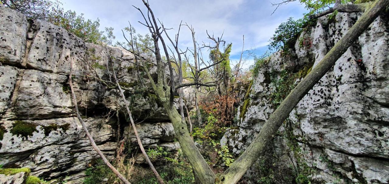 La Grange - Chez Gisi - Fuer Naturliebhaber, Abenteurer Und Geniesser Rocles  Eksteriør bilde